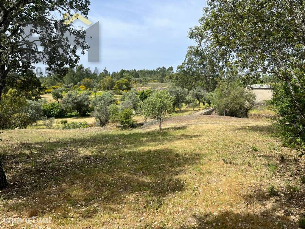 Quintinha 'Off-Grid' com Poço, Árvores e Linha de Água - Castelo Br... - Grande imagem: 5/28