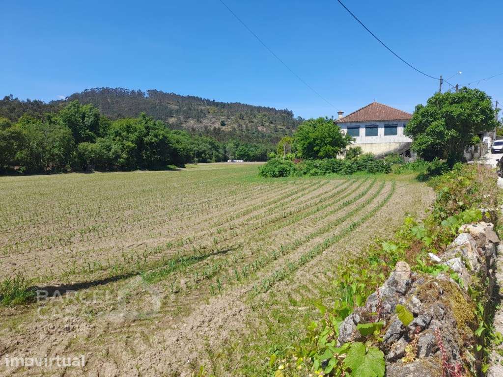 Terreno junto ao Rio Neiva em Panque - Barcelos - Grande imagem: 2/20