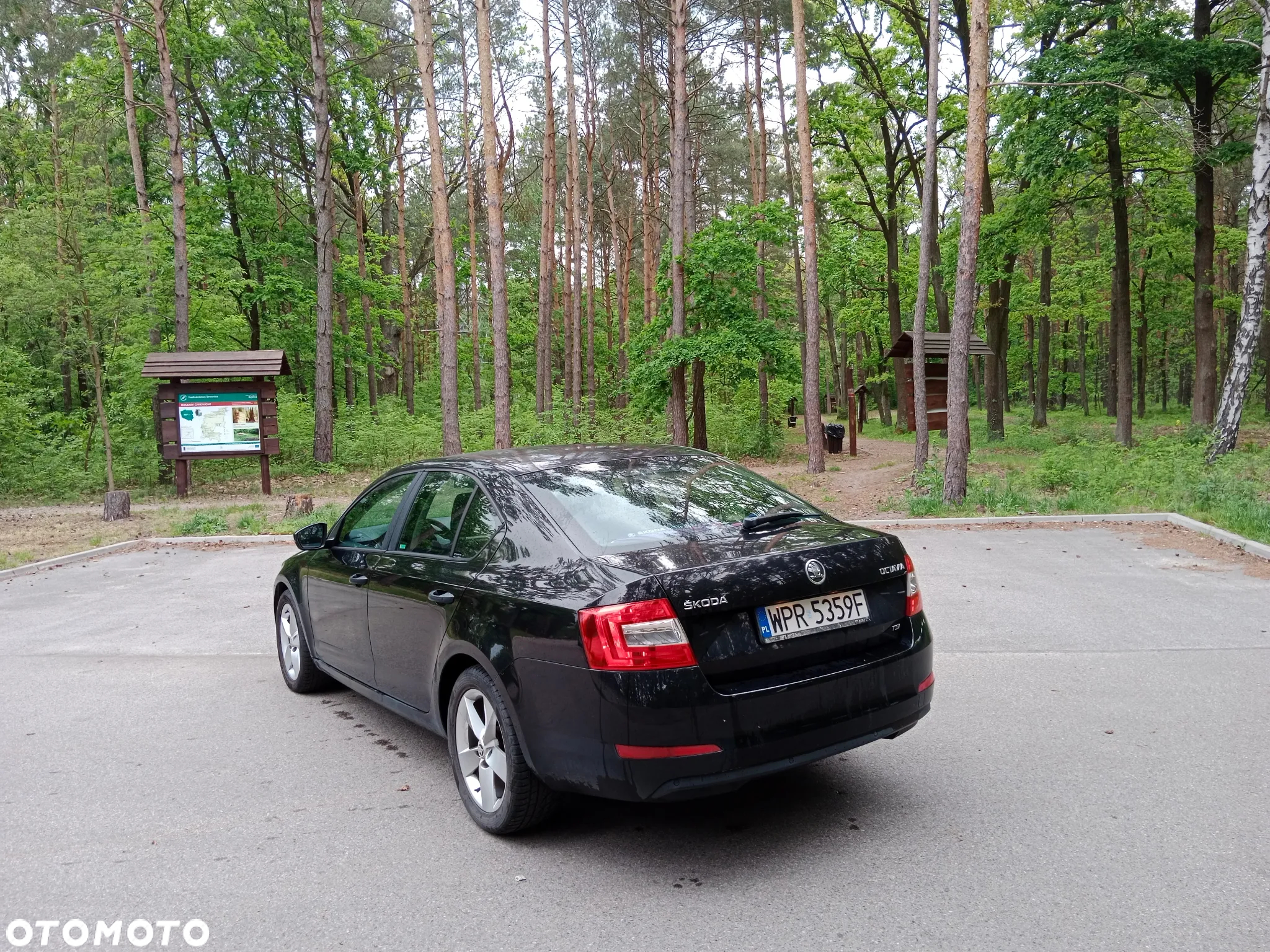 Skoda Octavia 1.2 TSI Active - 4