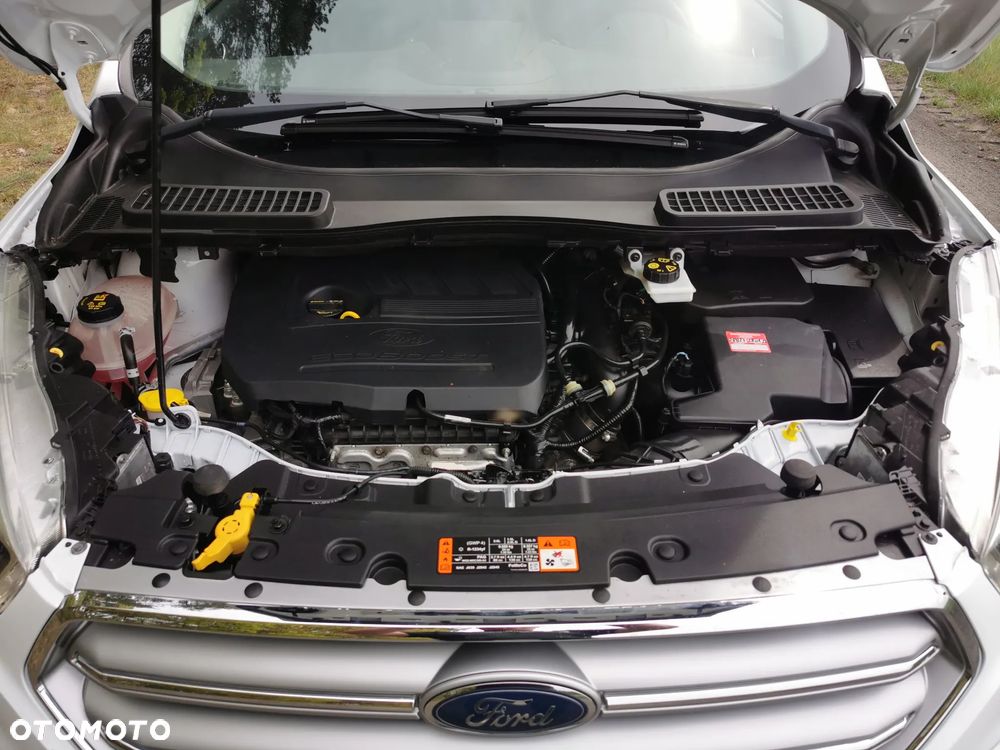 Ford Kuga 1.5 EcoBoost 2x4 Titanium - 19