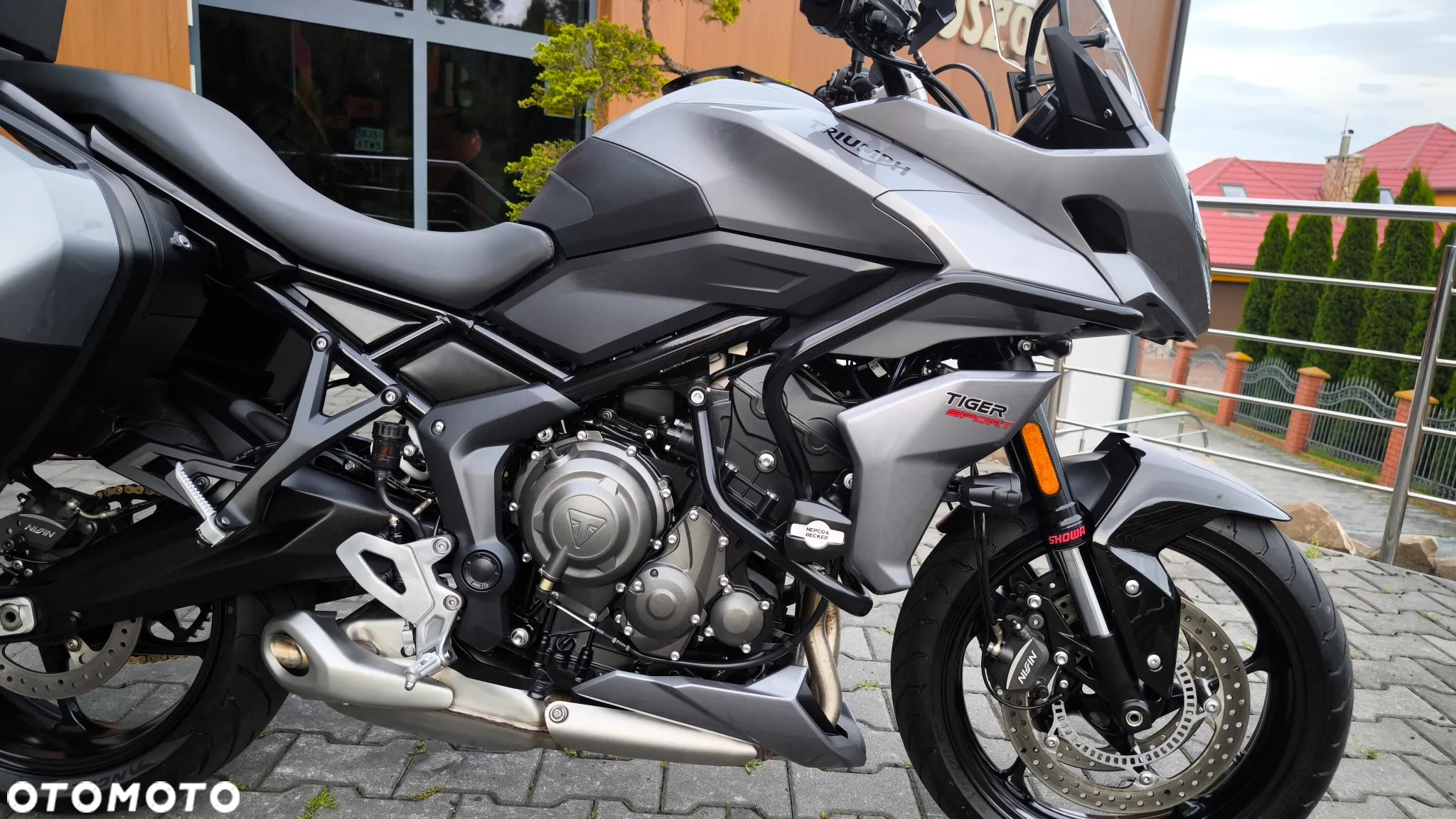 Triumph Tiger - 12