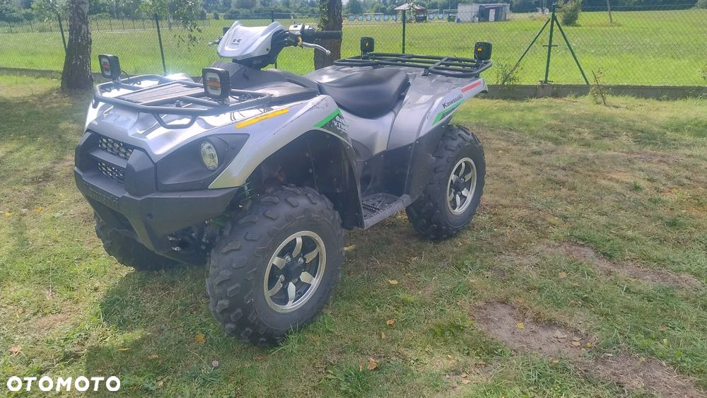 Kawasaki Brute Force - 5