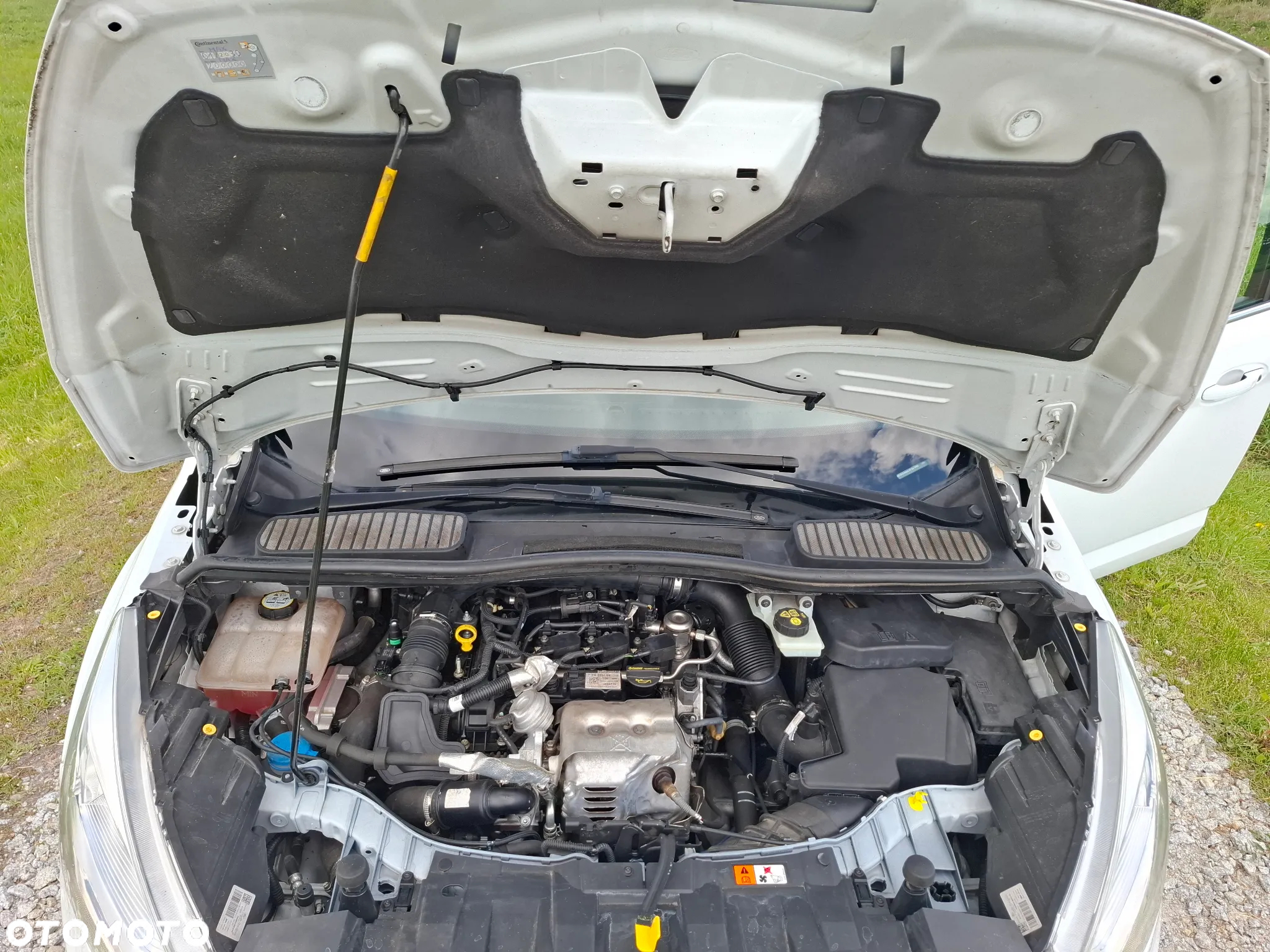 Ford C-MAX 1.0 EcoBoost Titanium ASS - 20