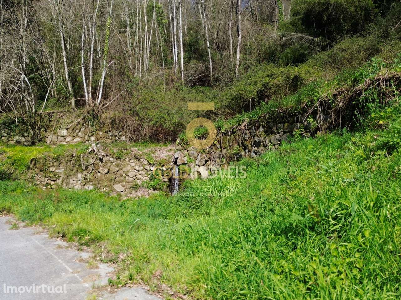 Terreno Rústico  Venda em Souselo,Cinfães - Grande imagem: 5/10