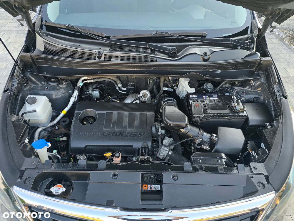 Kia Sportage - 27