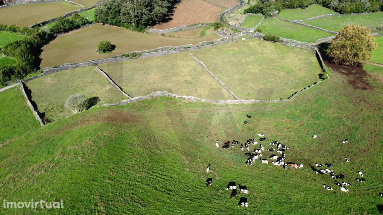 Terreno Rústico com 8.780 m2 localizado no Pico do Alho - Ribeira Gran - Grande imagem: 3/16