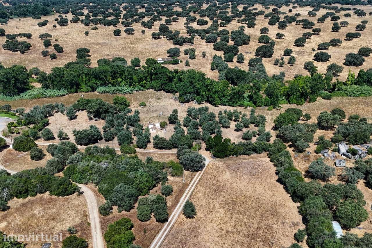 Terreno com ruína e projeto aprovado, em Montemor o Novo - Grande imagem: 2/48