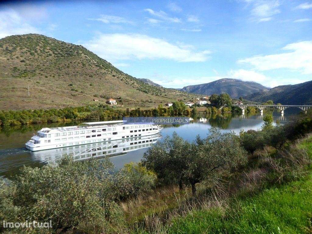 Propriedade plana, 17ha para plantações agrícolas. Portugal, Guarda... - Grande imagem: 5/5