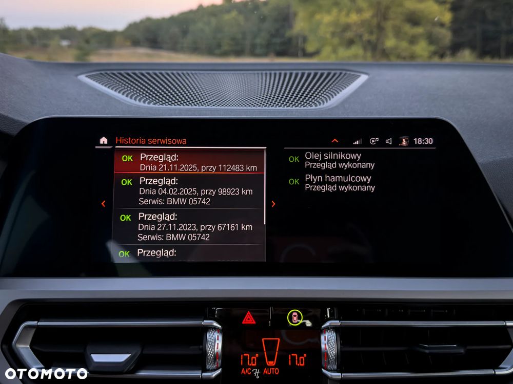 BMW Seria 3 330e Advantage sport - 39