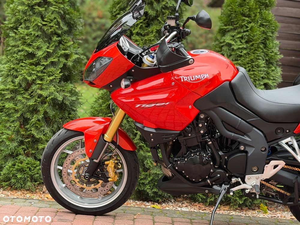 Triumph Tiger - 19