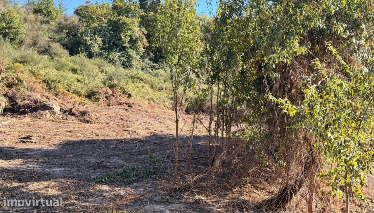 Venda Terreno, Mesquinhata, Baião - Grande imagem: 5/30