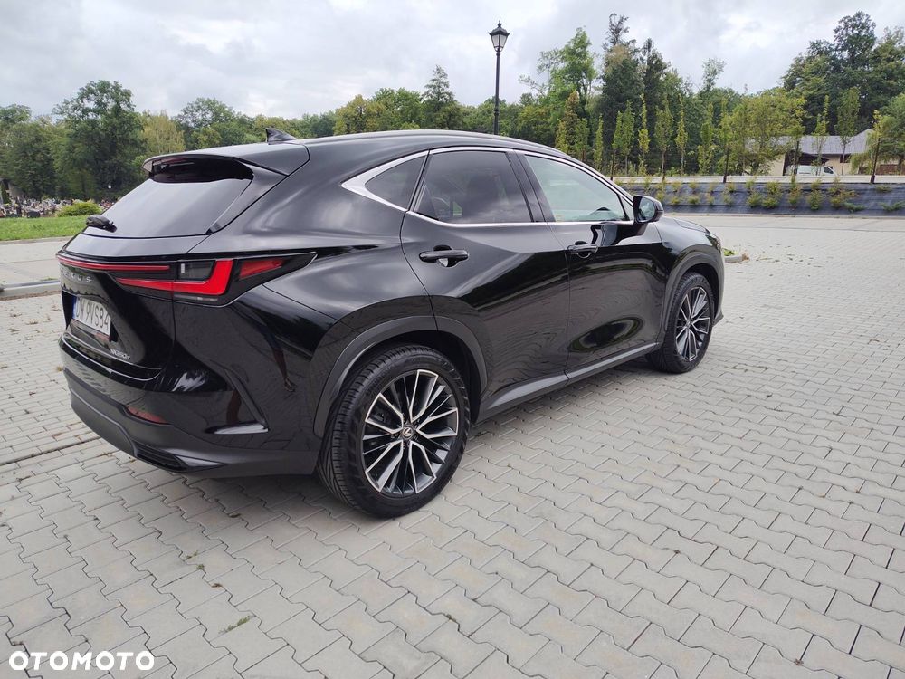 Lexus NX - 12