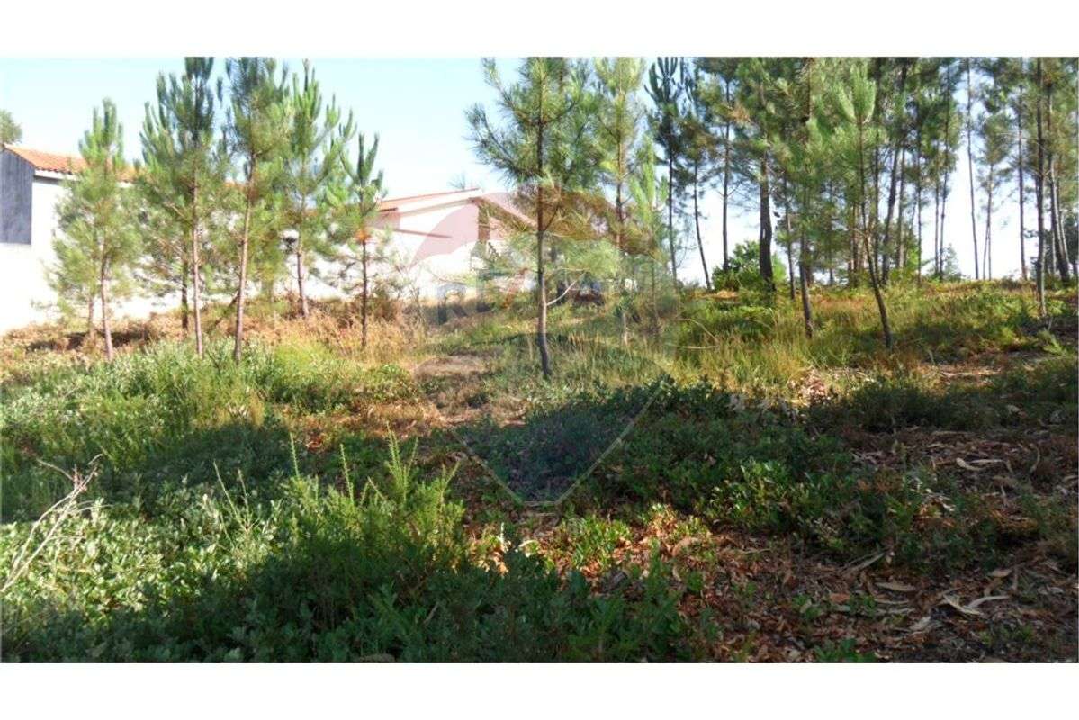 Terreno T0 para venda - Grande imagem: 2/7