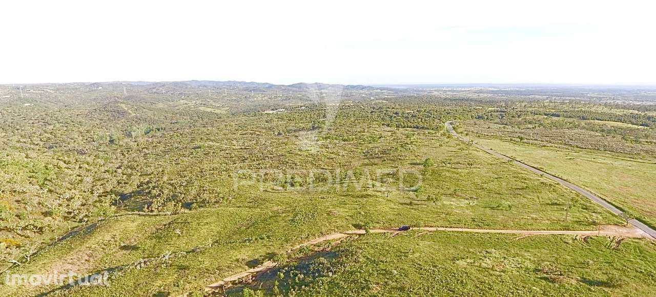 Grandola / Terreno Rustico com 8.5 hectares - Grande imagem: 4/19