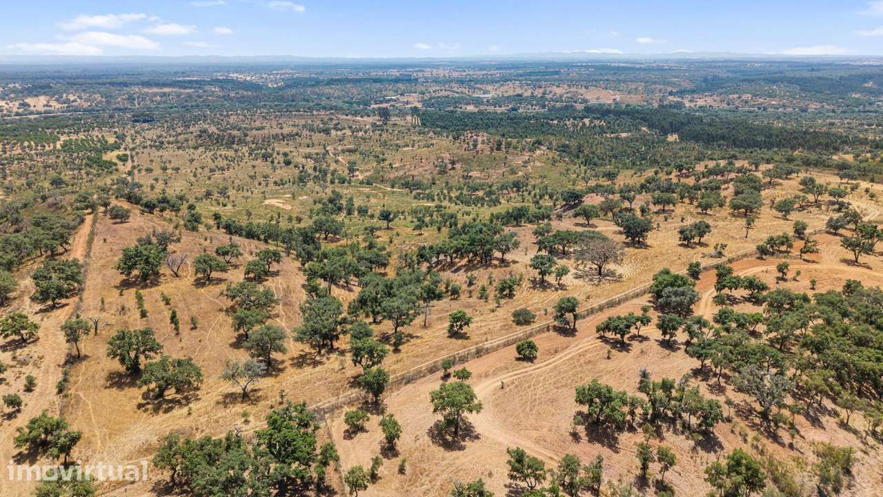 Terreno Rústico 50.0 ha, São Domingos, Santiago do Cacem - Grande imagem: 4/17