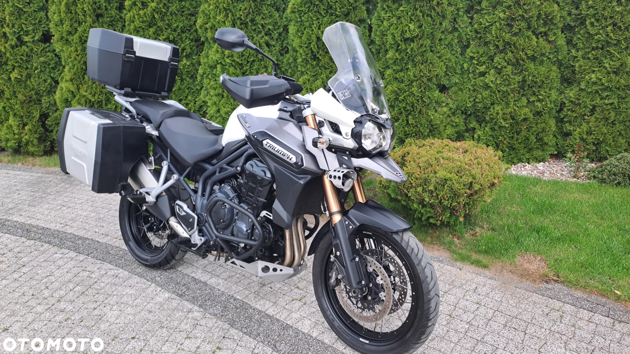 Triumph Tiger - 3