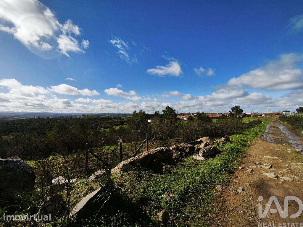 Terreno Agrícola em São Miguel do Pinheiro, São Pedro de Solis e São S - Grande imagem: 4/40