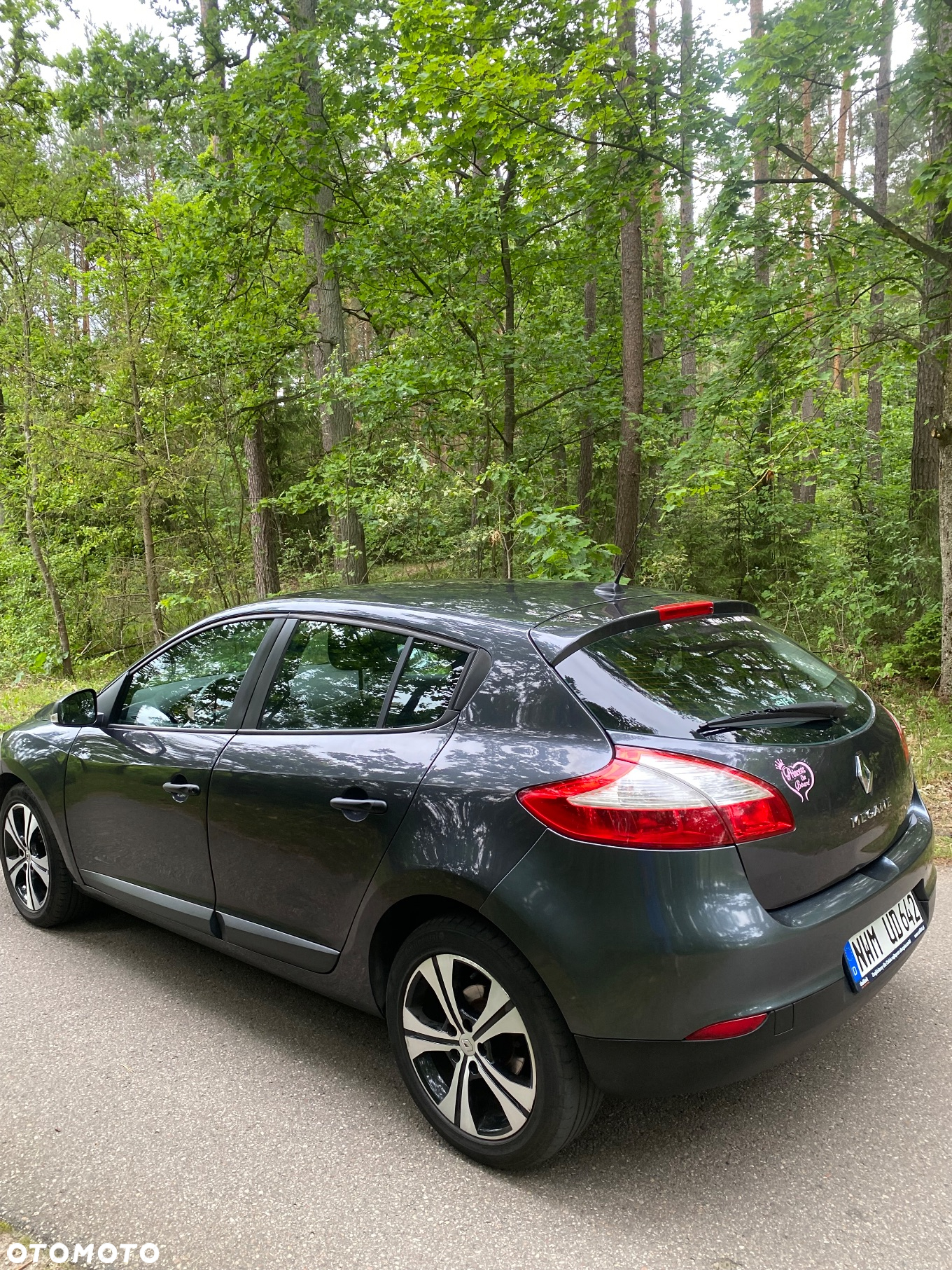 Renault Megane 1.6 16V 100 TomTom Edition - 8