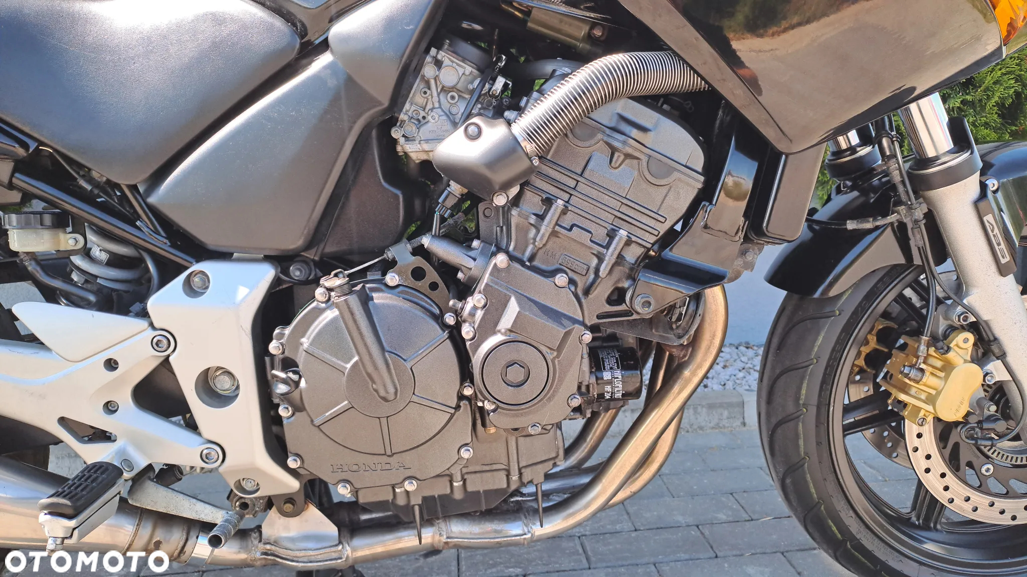 Honda CBF - 19
