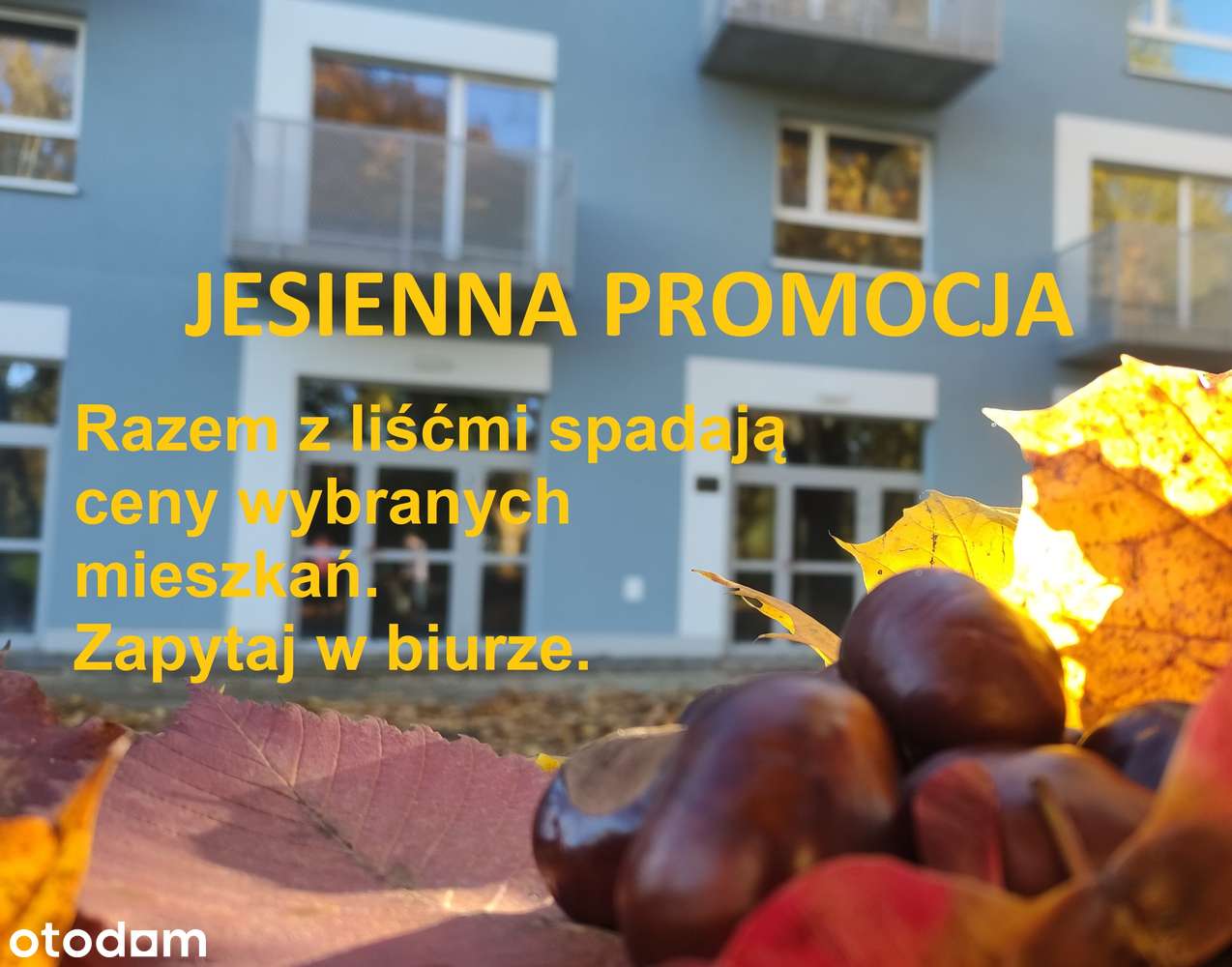 Mieszkanie na sprzedaż, 3 pokoje, 65 m², Biedrusko