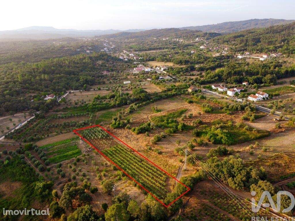 Terreno em Areias e Pias de 3000,00 m2 - Grande imagem: 3/30