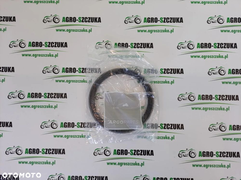 PIERSCIEŃ USZCZELNIAJĄCY 6522879X1 McCORMICK - 1