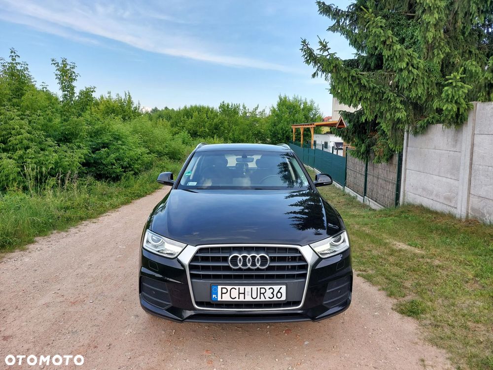 Audi Q3 - 24
