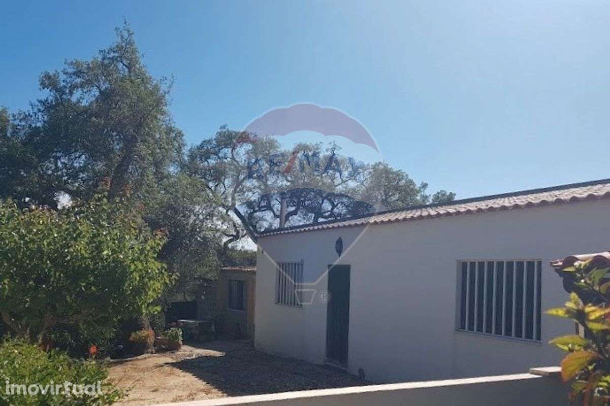 Terreno  para venda - Grande imagem: 3/14