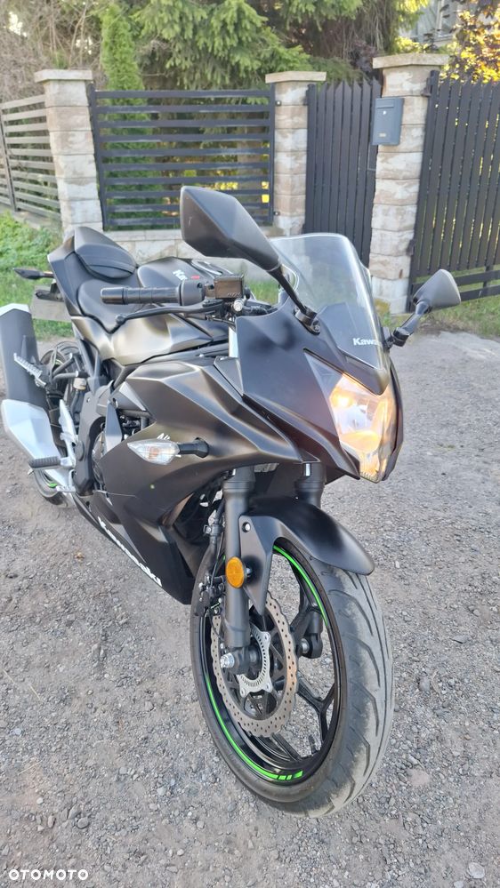 Kawasaki Ninja - 2
