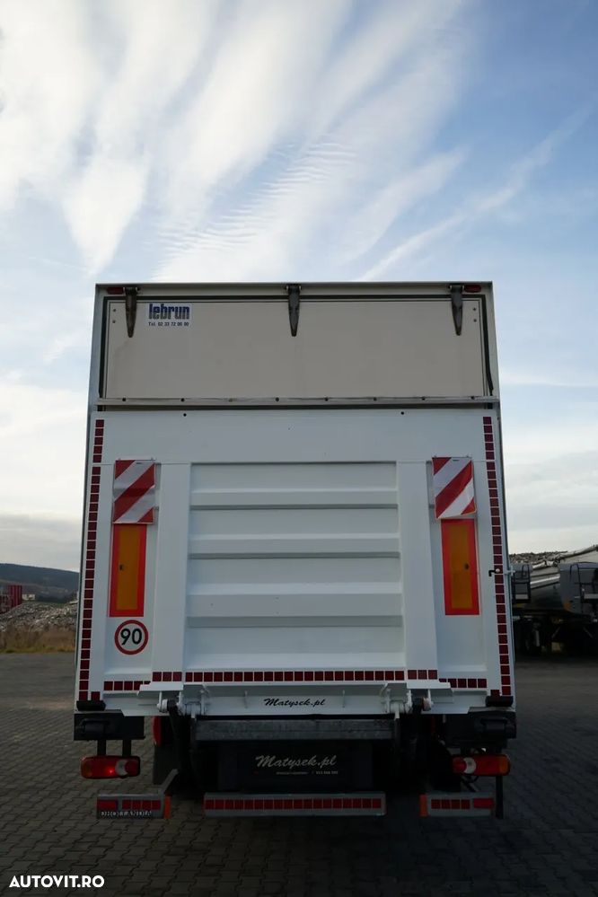 Renault D 210 / 4x2 / CONTAINER / 8,6 M / PODEA RESISTENTĂ / ELEVATOR DHOLLANDIA - 13