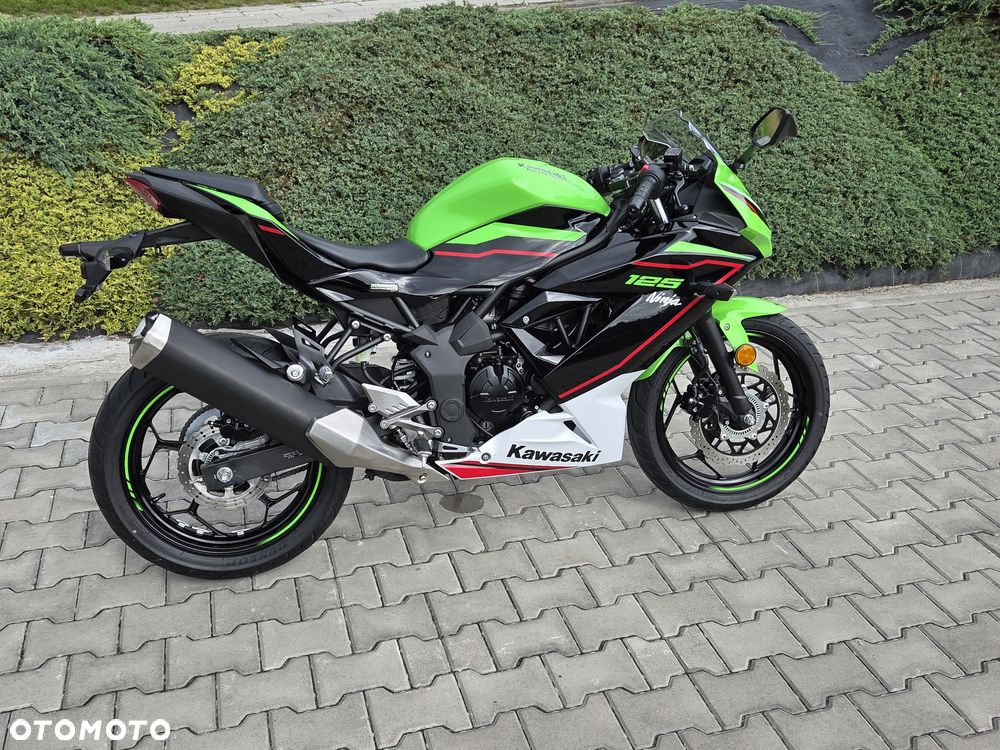 Kawasaki Ninja - 1