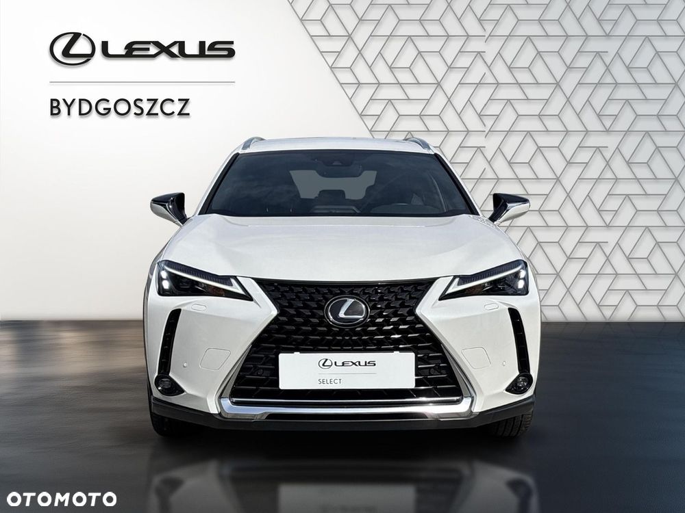 Lexus UX 250h GPF Business 2WD - 2