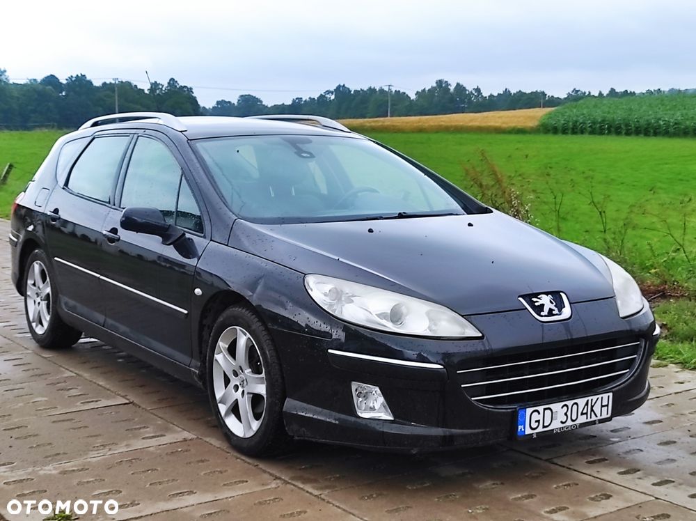 Peugeot 407 - 5