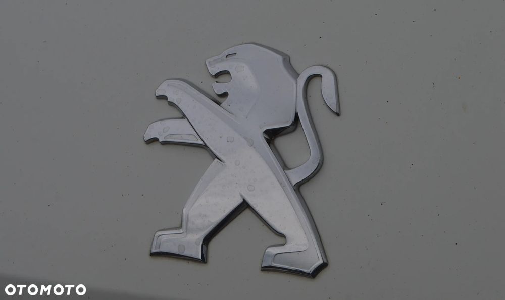 Peugeot Boxer - 18