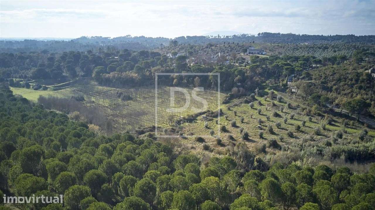 Terreno  Venda em Carregueiros,Tomar - Grande imagem: 3/8