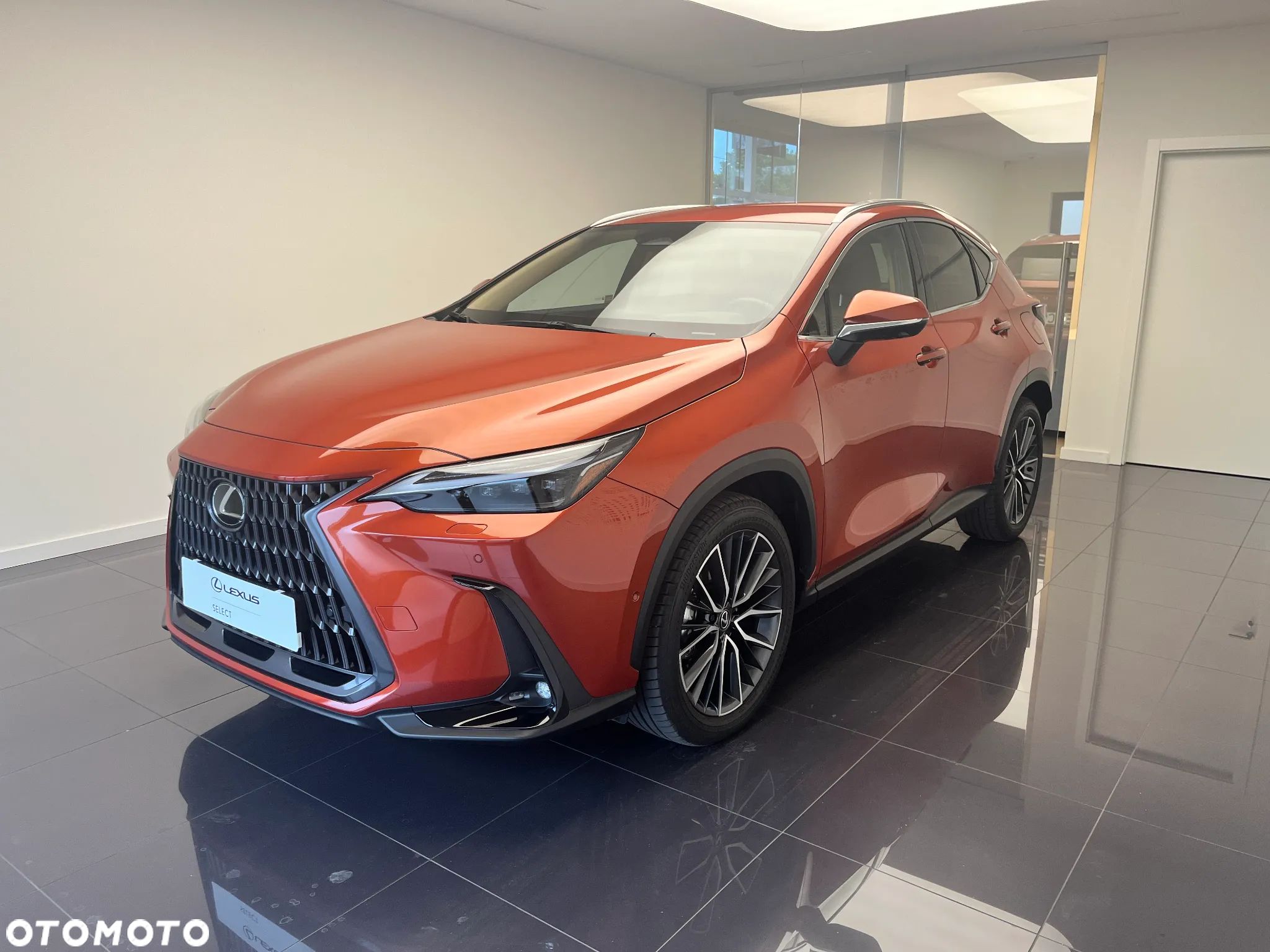 Lexus NX - 1