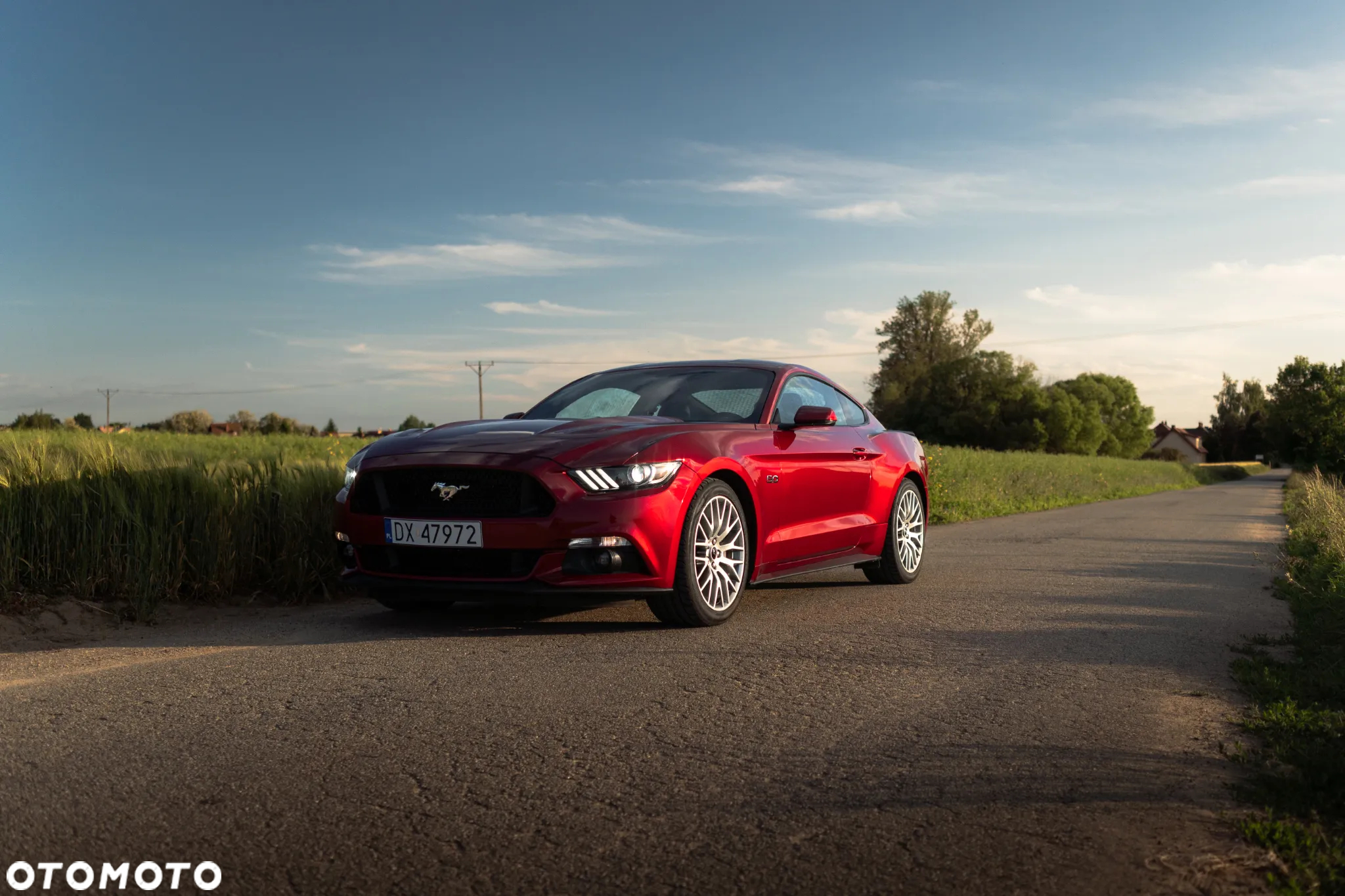 Ford Mustang 5.0 V8 GT - 7