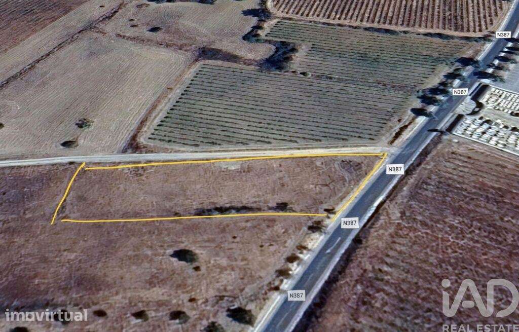 Terreno Agrícola em Vila de Frades - Grande imagem: 3/5