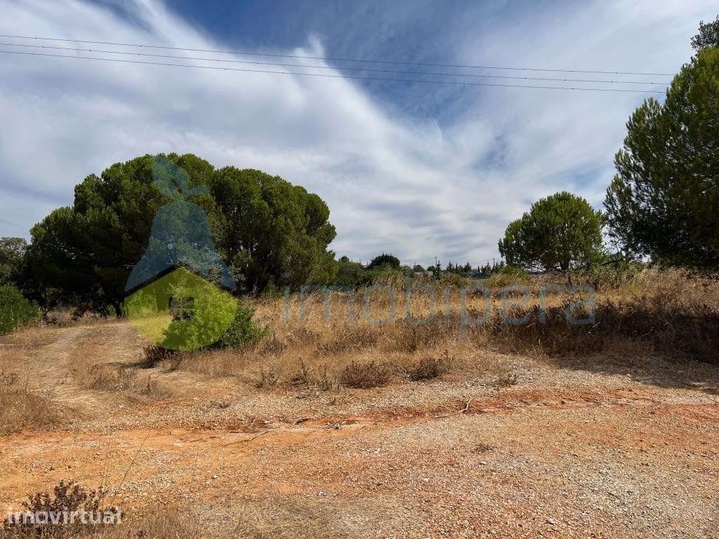 TERRENO AMPLO COM POÇO-BOAS VISTAS E PINHEIROS A 4KM DA PRAIA - Grande imagem: 3/35