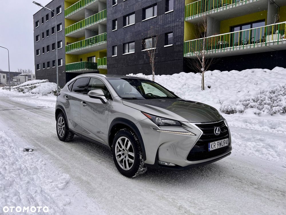 Lexus NX 300h Prestige AWD - 17
