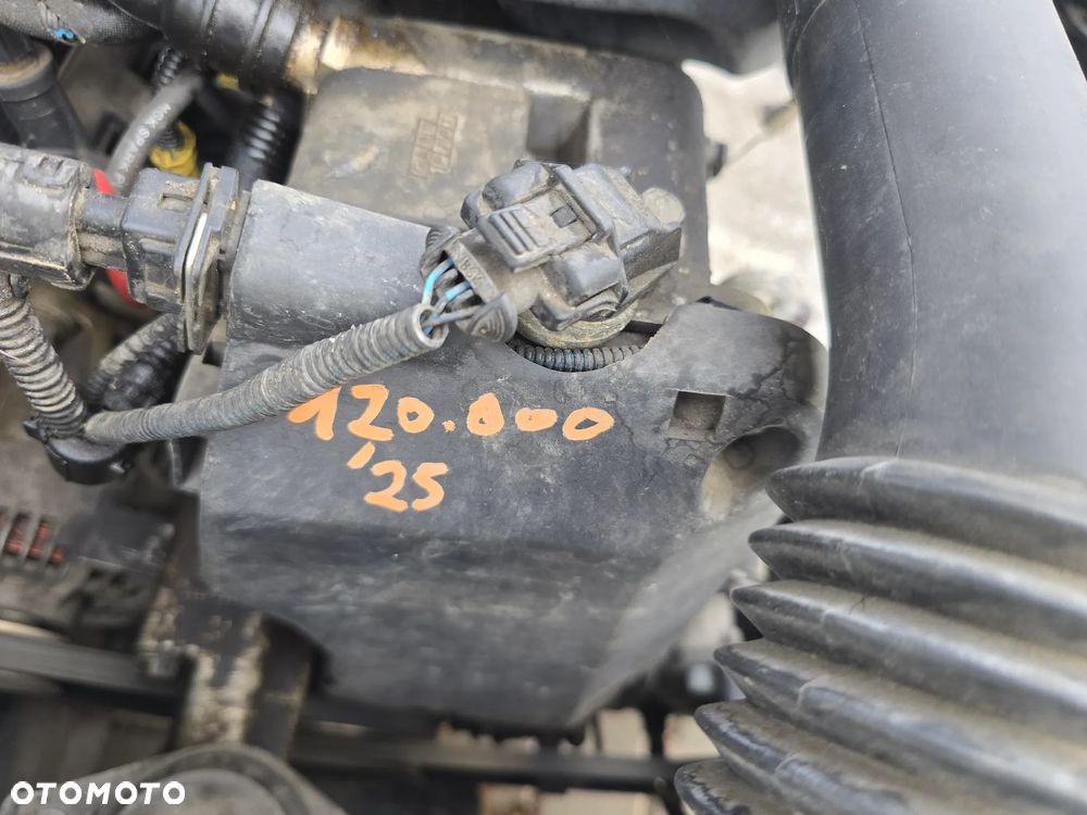 Lancia Ypsilon Y 1.2 8v Elefantino Blu - 19