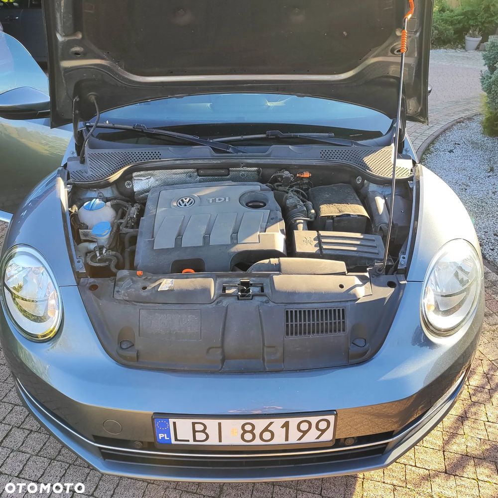 Volkswagen Beetle - 13