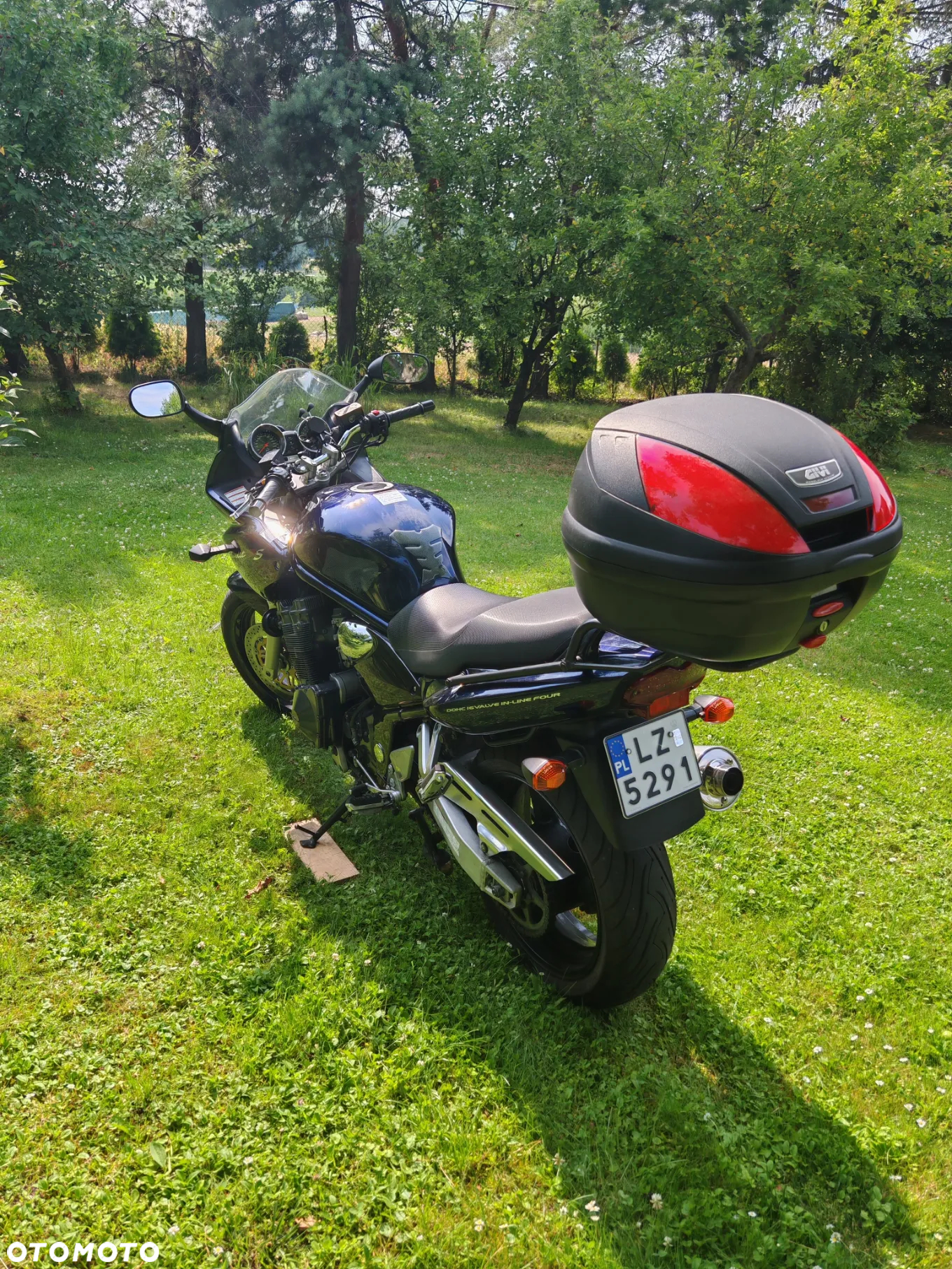 Suzuki Bandit - 3