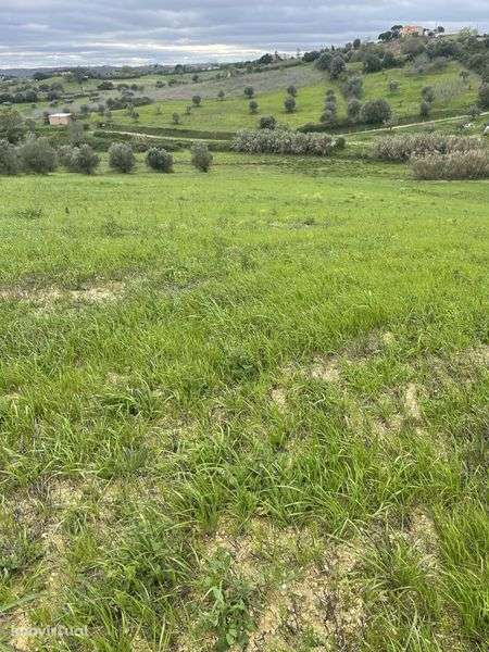 Terreno agricola 2,4ha - Grande imagem: 3/9