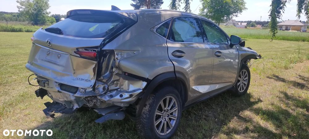 Lexus NX 300 AWD Luxury Line - 7
