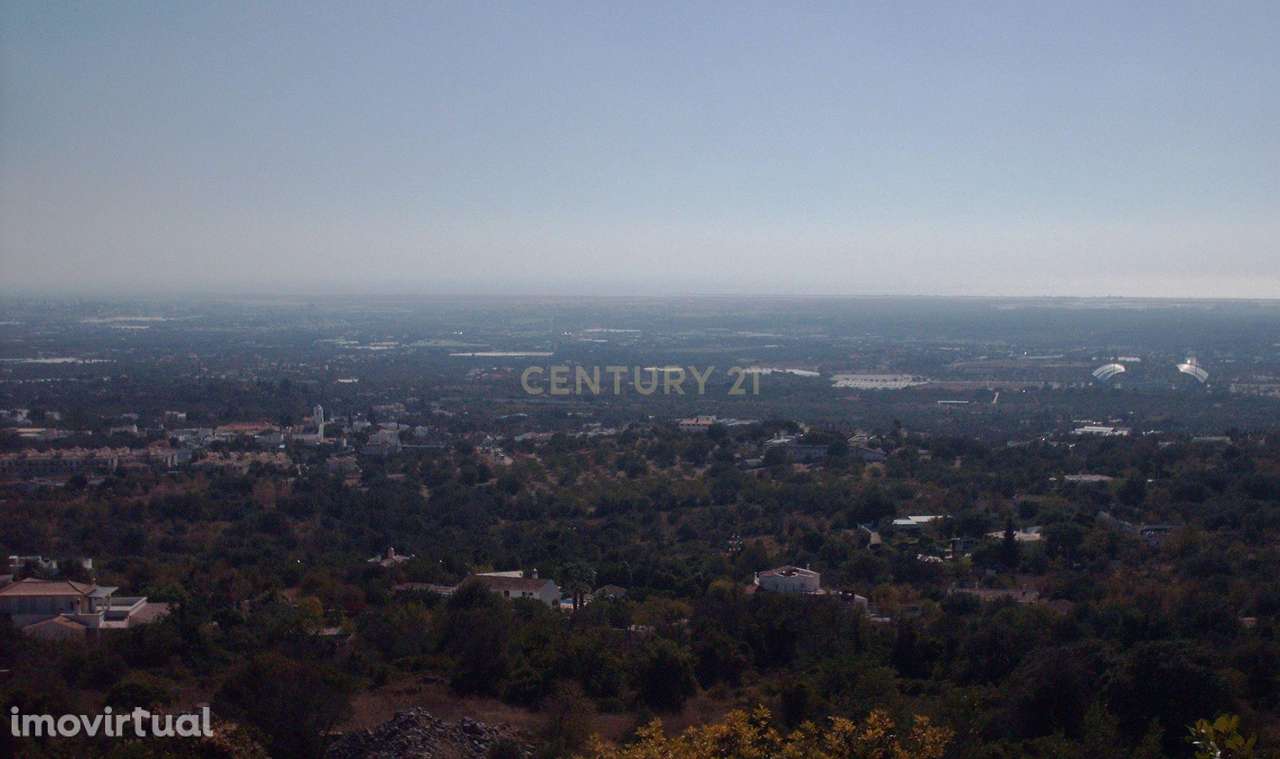 Terreno vista mar - Grande imagem: 2/9