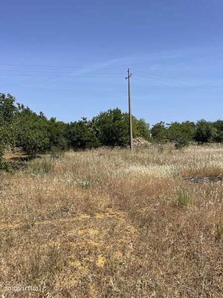 Oportunidade Única em Estoi — Terreno Rústico com 3.000 m² - Grande imagem: 3/12