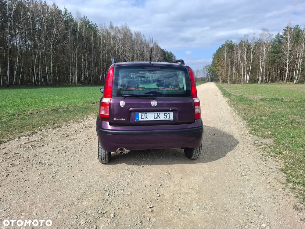 Fiat Panda 1.2 Active - 12