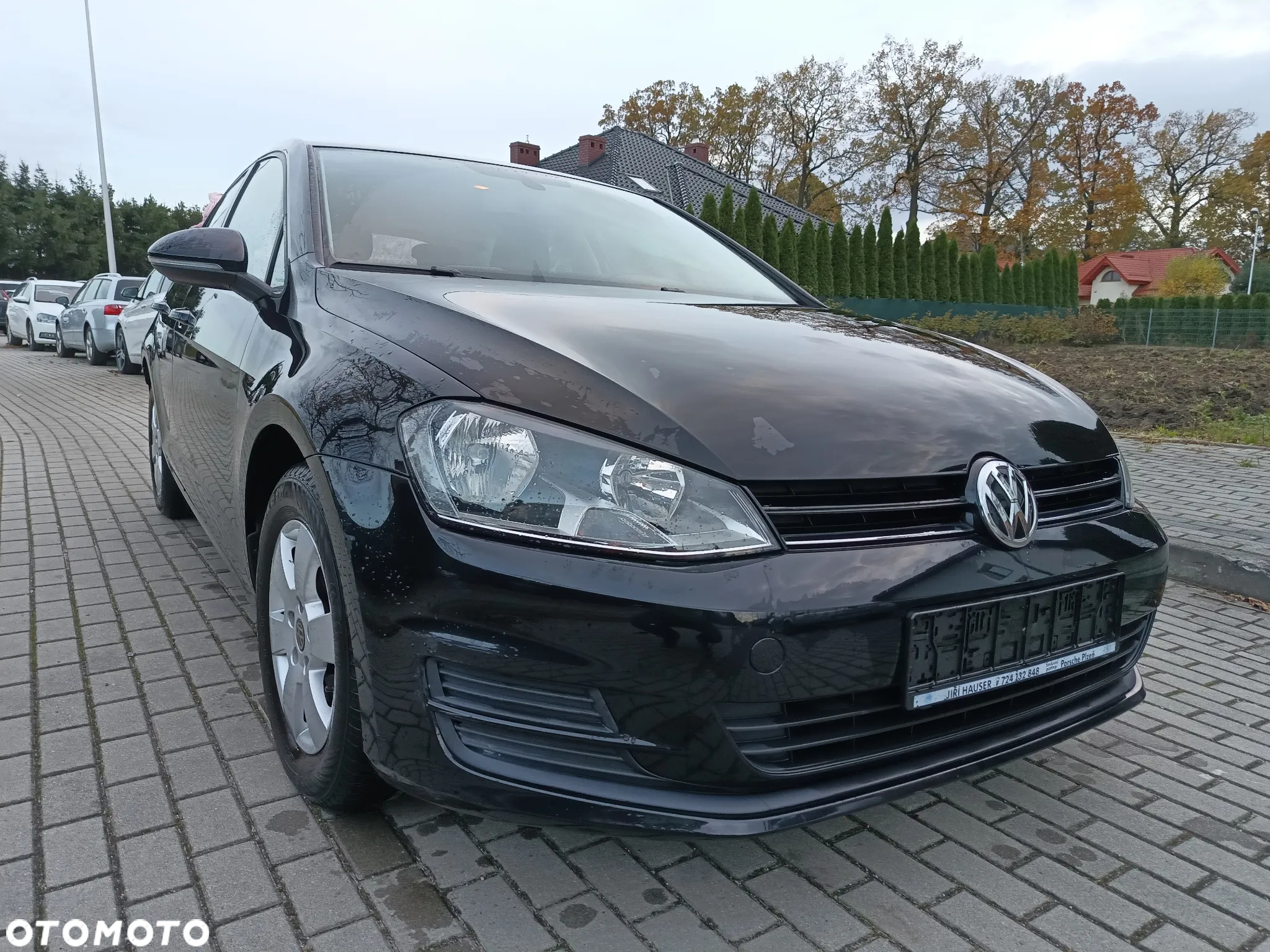 Volkswagen Golf - 16