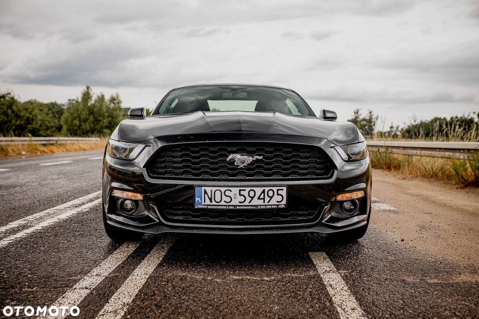 Ford Mustang 2.3 EcoBoost - 15